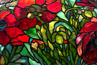 26″ Oriental Poppy, Part 2