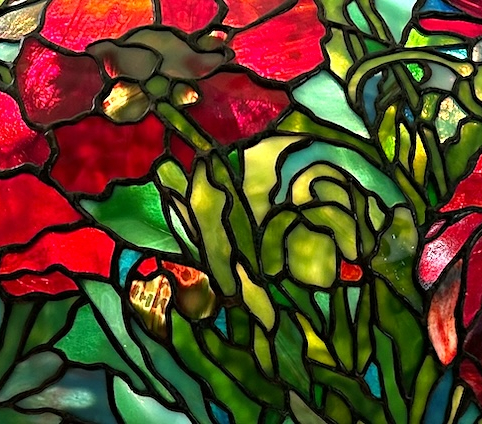 26″ Oriental Poppy, Part 2