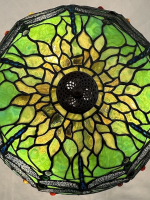 14″ Dragonfly